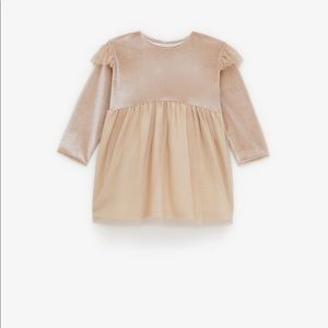 Zara Velvet and Tulle